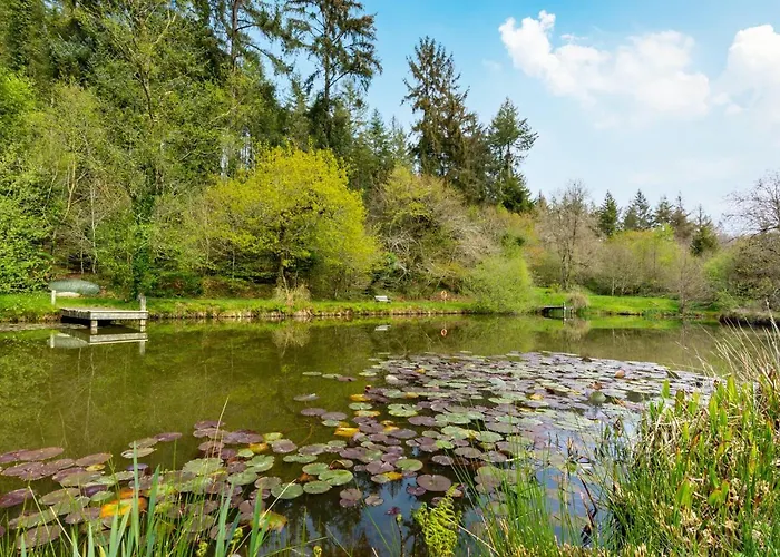 Romantic, Secluded Cottage In Cardinham Woods, Cornwall